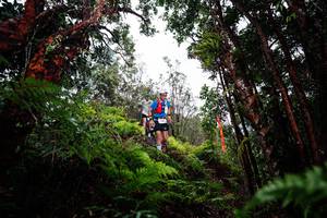 BIB: 
                            <button type="button" onclick="openModal(26201105)" class="btn btn-primary btn-sm float-right btn-popup" data-toggle="modal" data-target=".modal-high-quality">
                        <i class="fas fa-shopping-cart"></i> Add to Cart
                    </button>
                                            <button type="button" onclick="isThisMe(26201105, true)" class="btn btn-success btn-sm float-right btn-popup btn-isme hidden" data-toggle="tooltip" data-placement="bottom" title="นี่คือรูปของคุณใช่ไหม คลิกที่นี่เพื่อเอาเข้าอัลบั้ม">
                        <i class="fas fa-plus"></i> Add to album
                    </button>
                    <button type="button" onclick="isThisMe(26201105, false)" class="btn btn-warning btn-sm float-right btn-popup btn-isnotme hidden">
                        <i class="fas fa-ban"></i> Remove from album
                    </button>